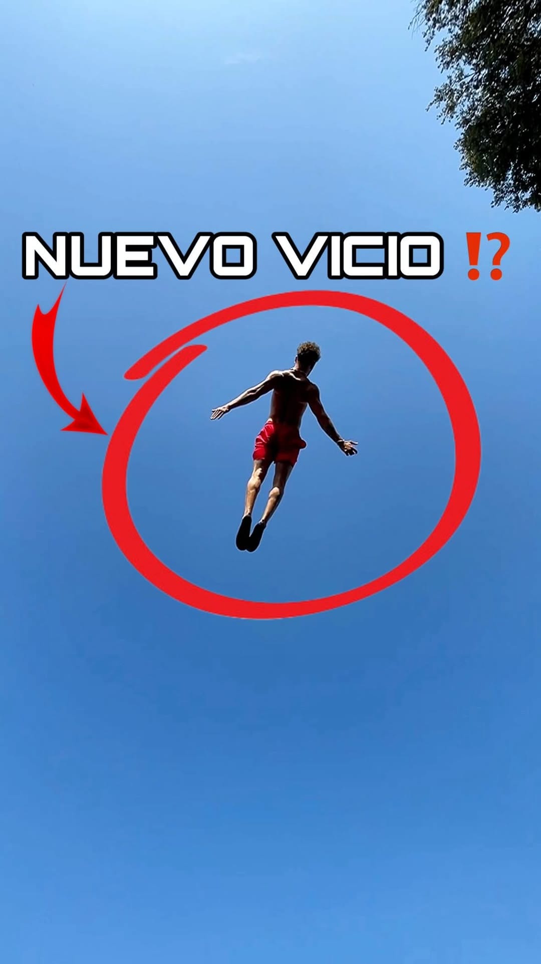Post 4 by Pakito Martin on Instagram (video)