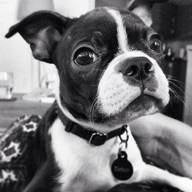 Post 10 by Emma&Lotti on Instagram (image)