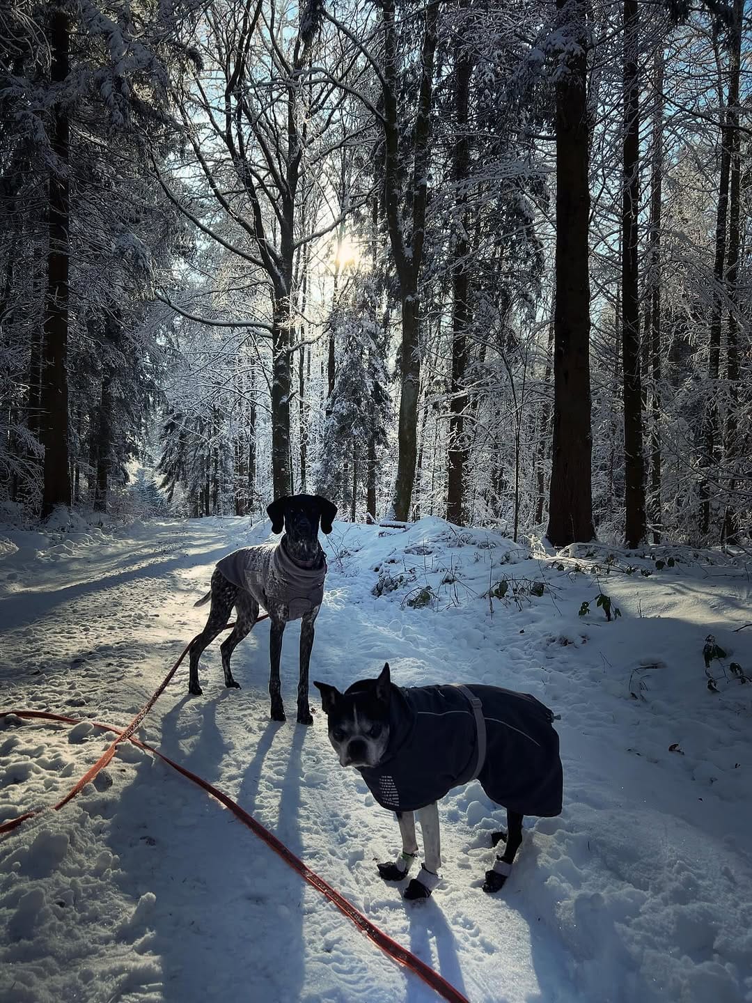 Post 4 by Emma&Lotti on Instagram (image)