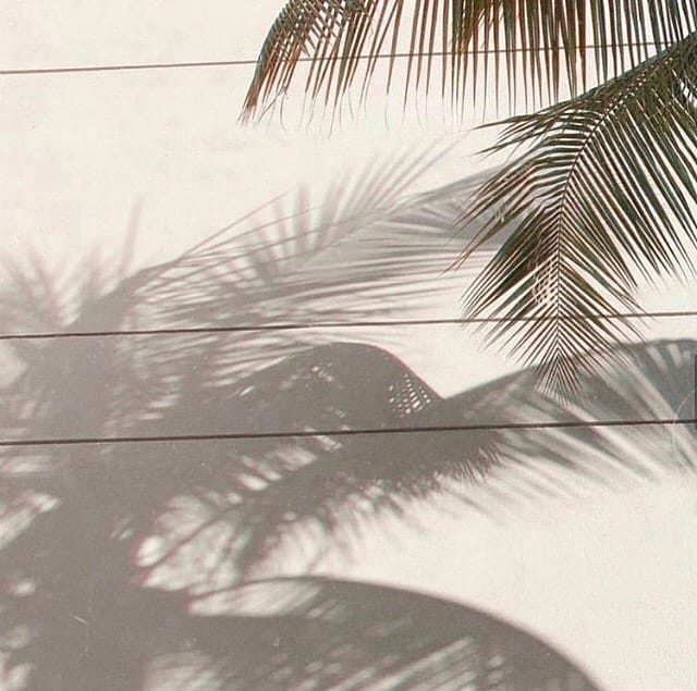 Post 8 by DONADELLI on Instagram (image)
