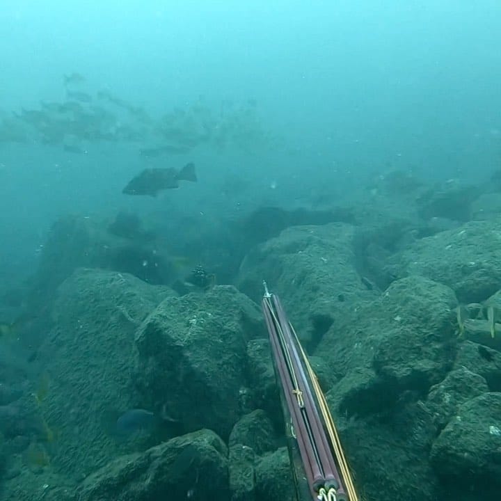 Post 5 by Johannes Katakis on Instagram (video)