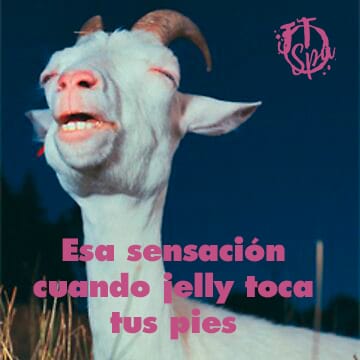 Post 6 by Jelly Therapy Spa on Instagram (image)