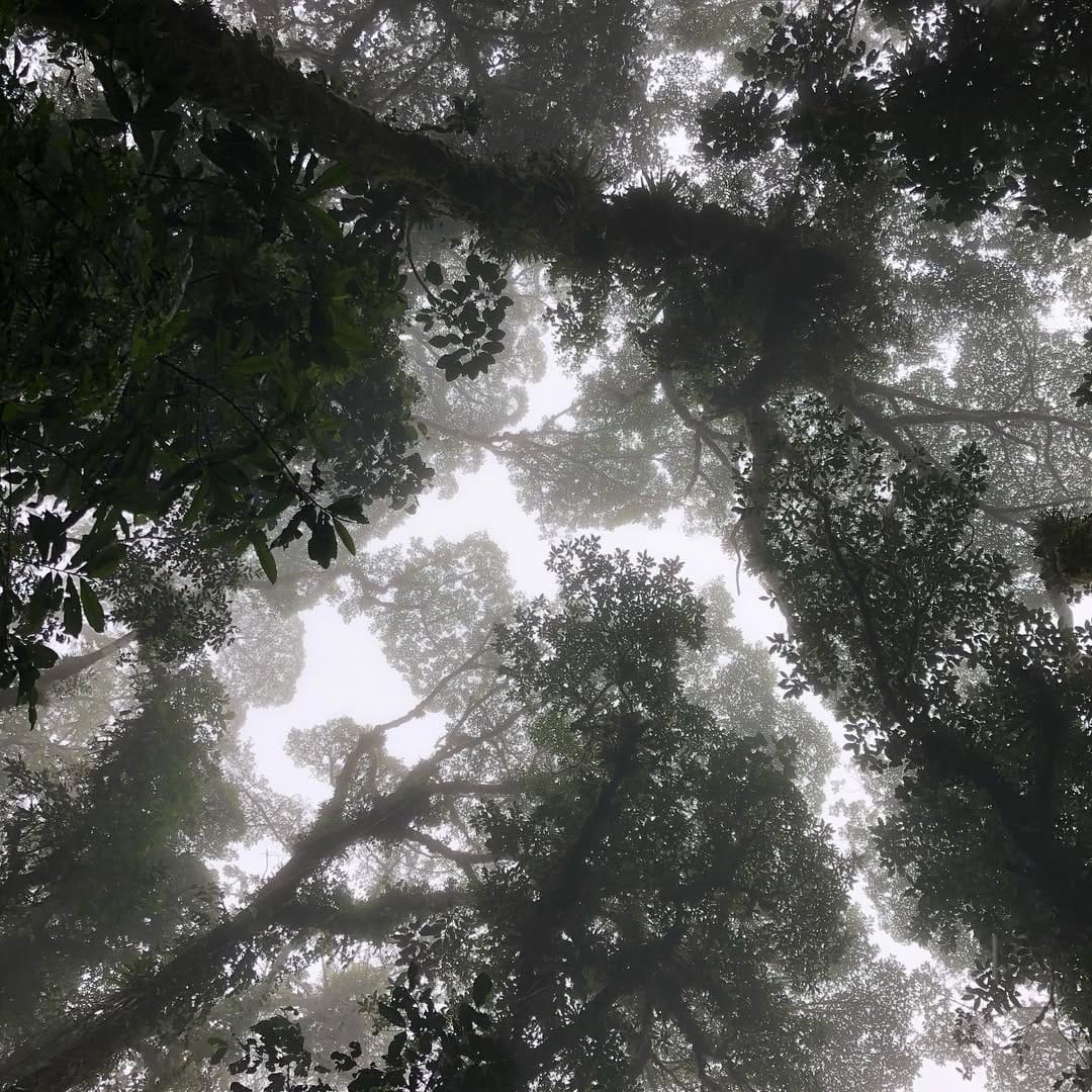 Post 9 by Manony Wildlife on Instagram (image)