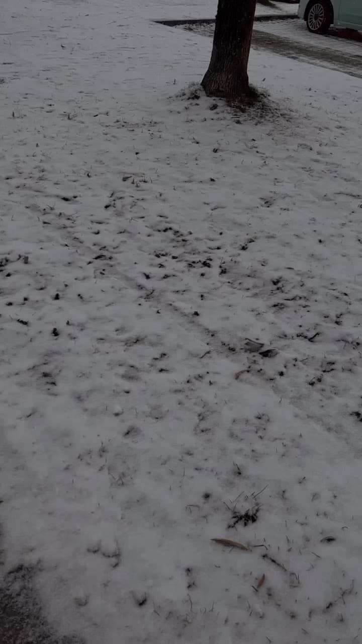 Post 10 by Ayatalla on Instagram (video)