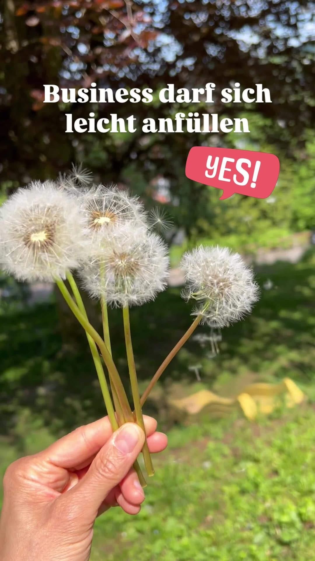Post 5 by Shireen Predehl / Coach: effizientes Business on Instagram (video)