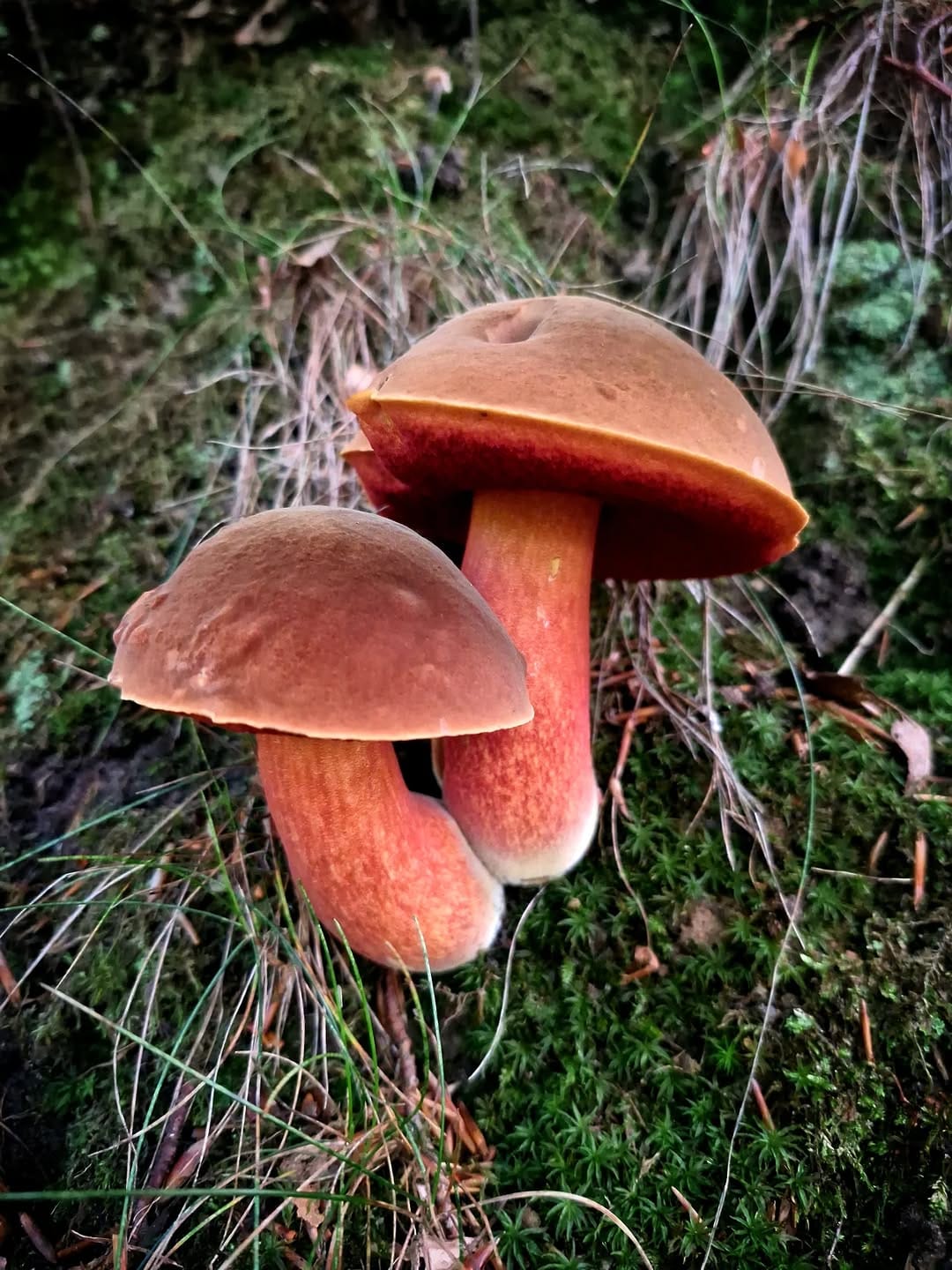 Post 6 by 📌Tristan on Instagram (image)