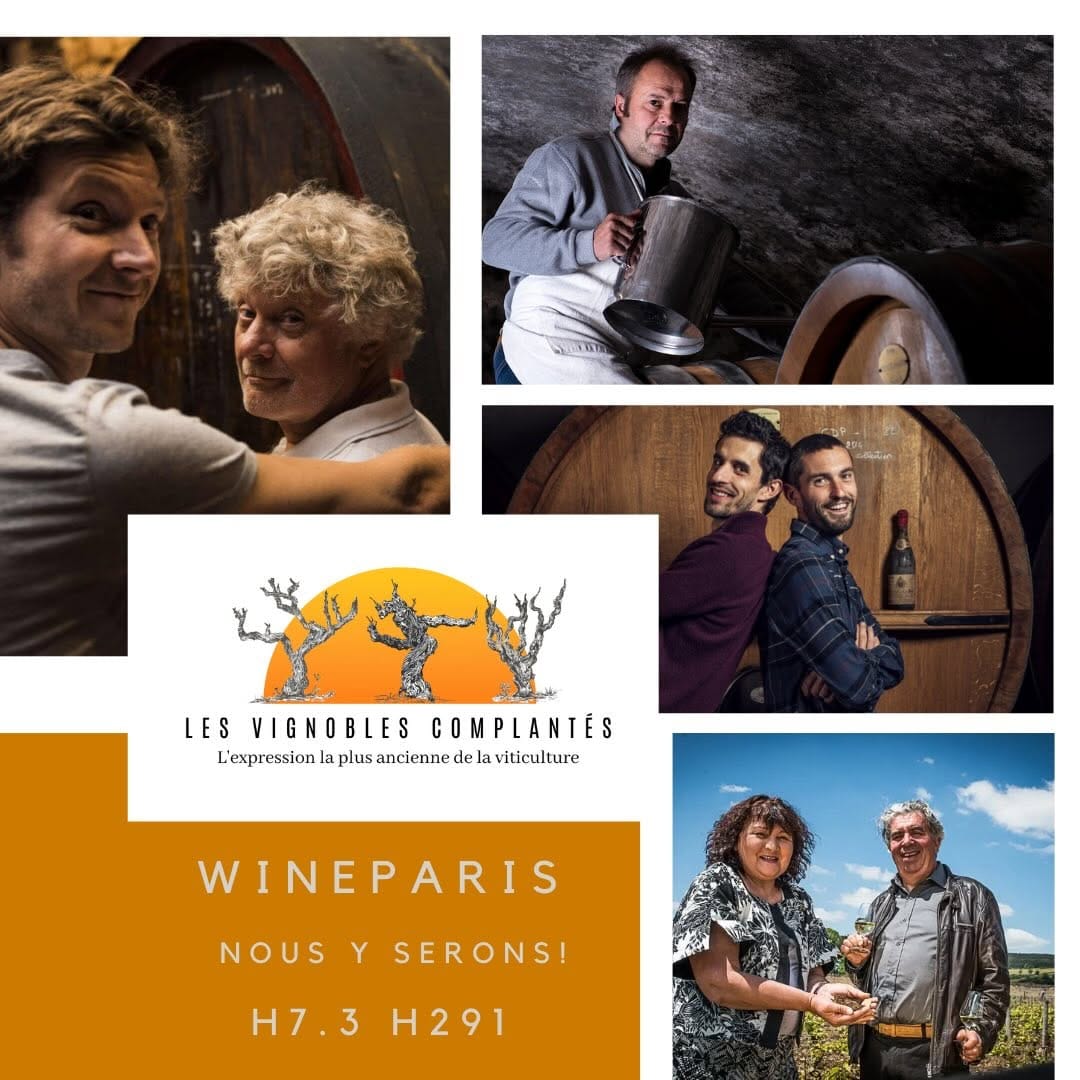 Post 5 by Domaine Marcel Deiss on Instagram (carousel)
