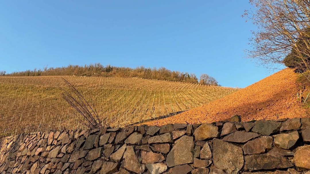 Post 8 by Domaine Marcel Deiss on Instagram (carousel)
