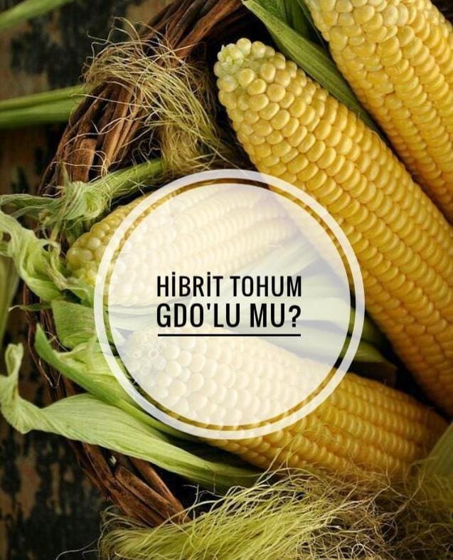Post 9 by Ziraat Mühendisi 👩‍🌾 on Instagram (image)