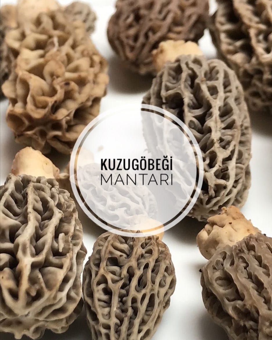 Post 6 by Ziraat Mühendisi 👩‍🌾 on Instagram (image)