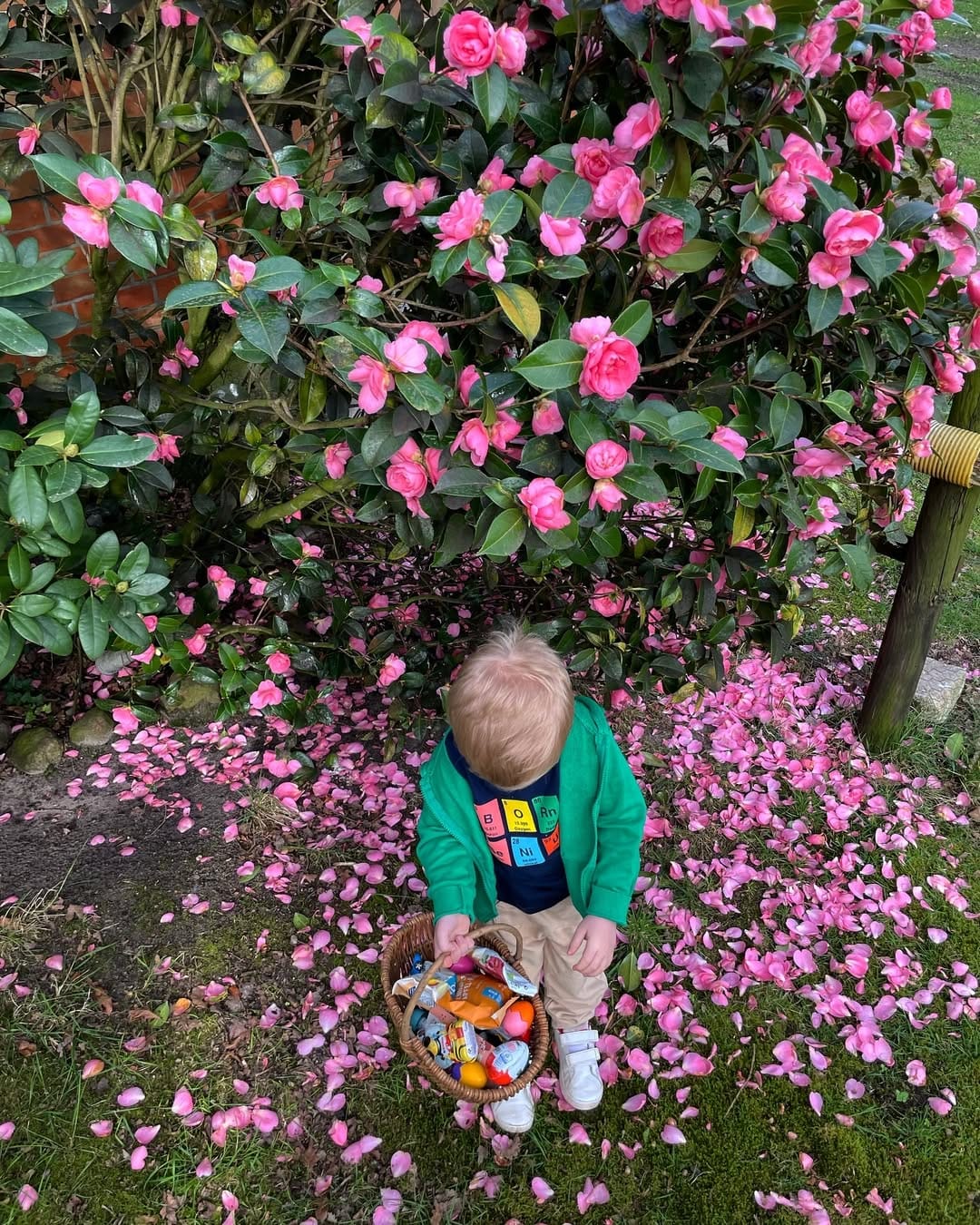Post 9 by Jana von Oehsen on Instagram (image)