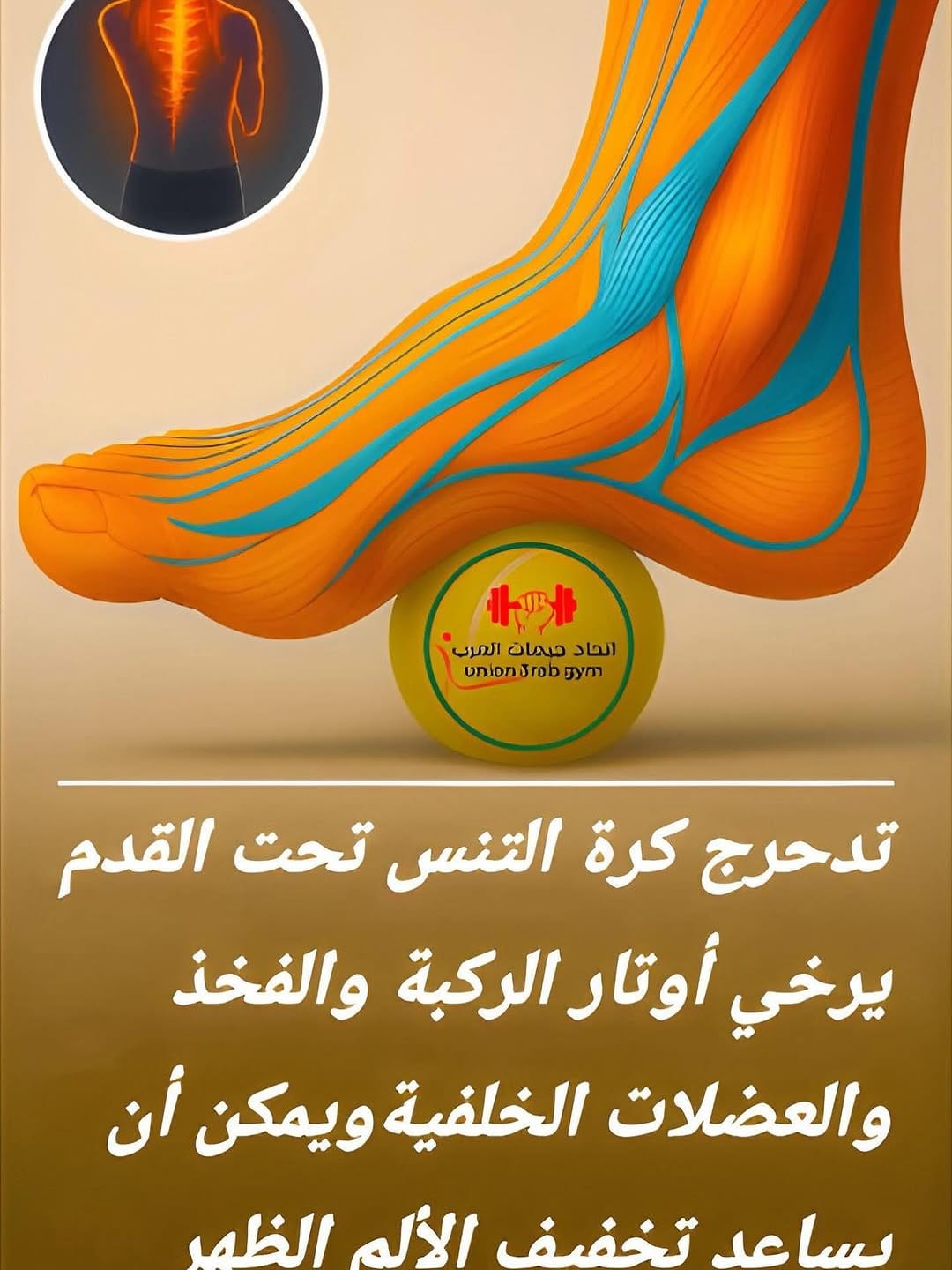 Post 6 by مدربة شخصيه ابوظبي -رقص شرقي on Instagram (image)