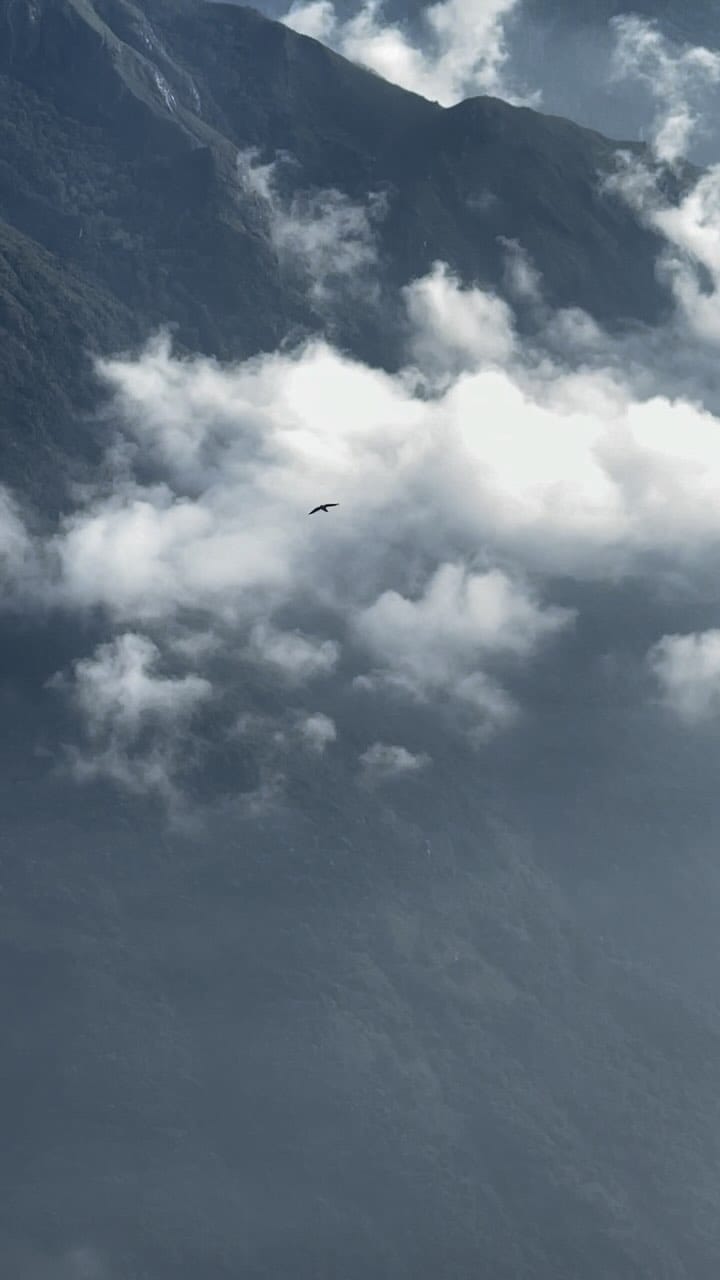 Post 10 by Hameed Shahul on Instagram (video)