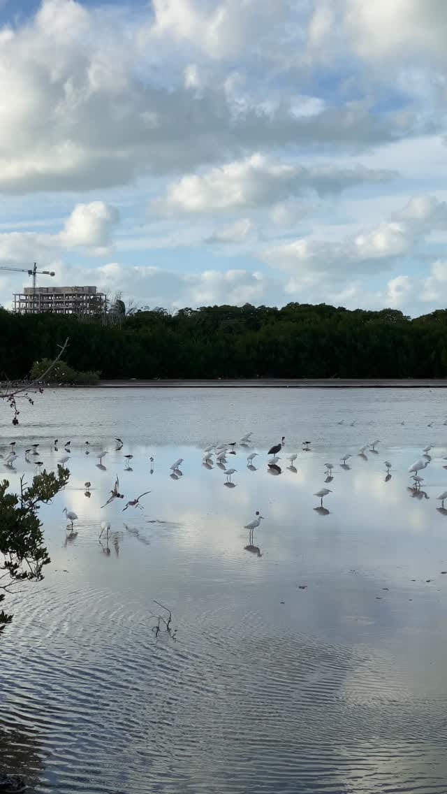Post 1 by Jorge Aguilar y Castellanos on Instagram (video)