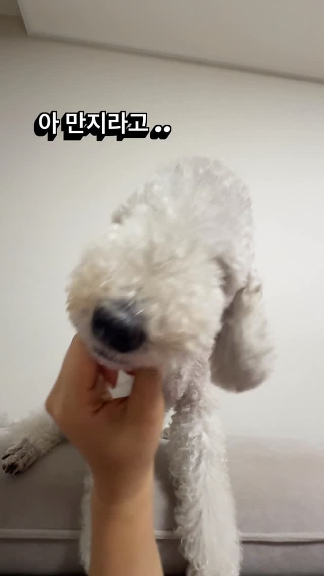 Post 6 by @june__nine on Instagram (video)