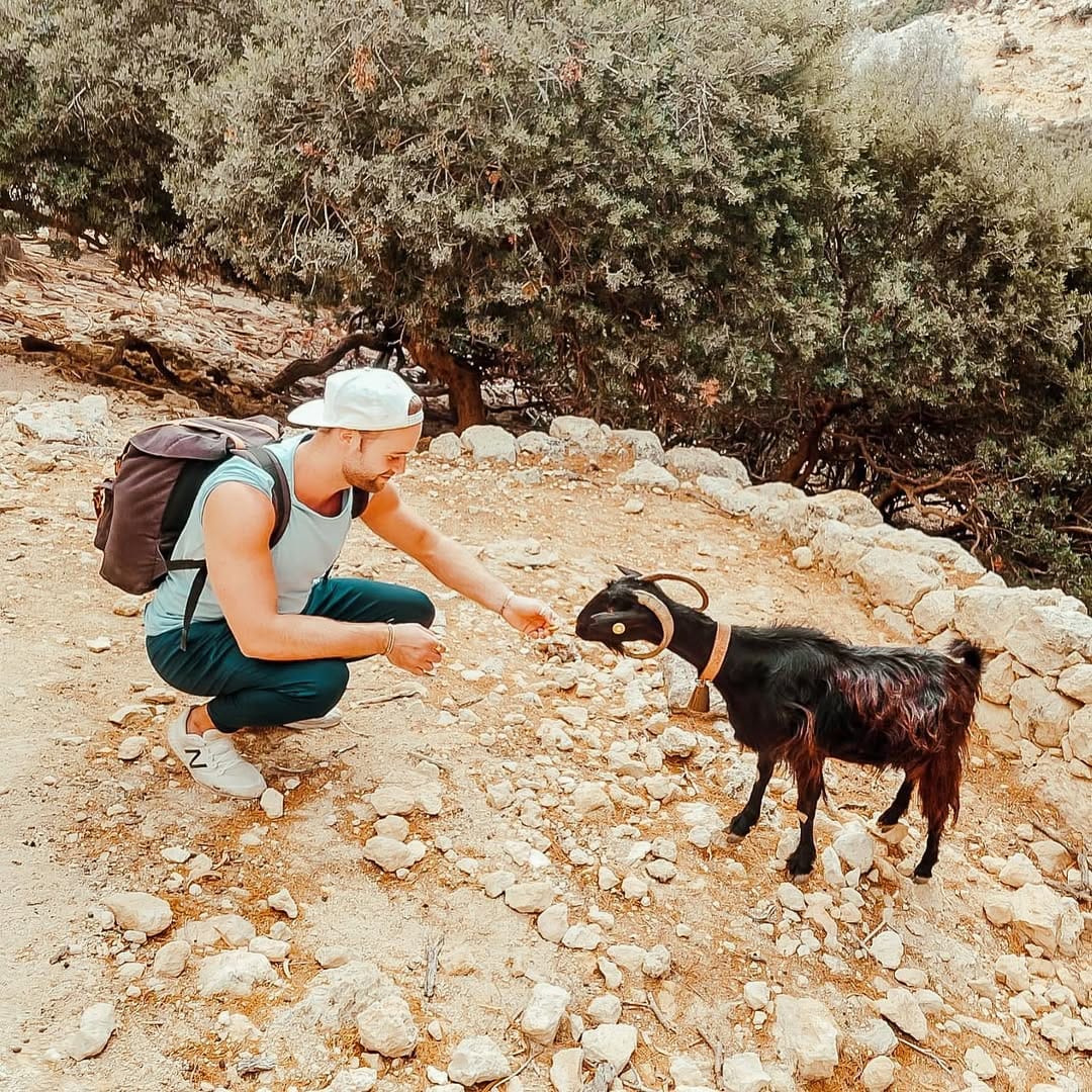 Post 3 by Bela Samuel Burgemeister on Instagram (image)