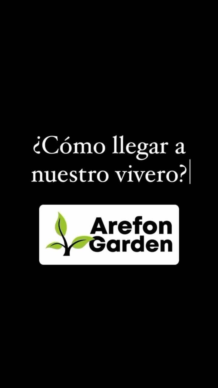 Post 9 by Vivero, paisajismo y riego on Instagram (video)