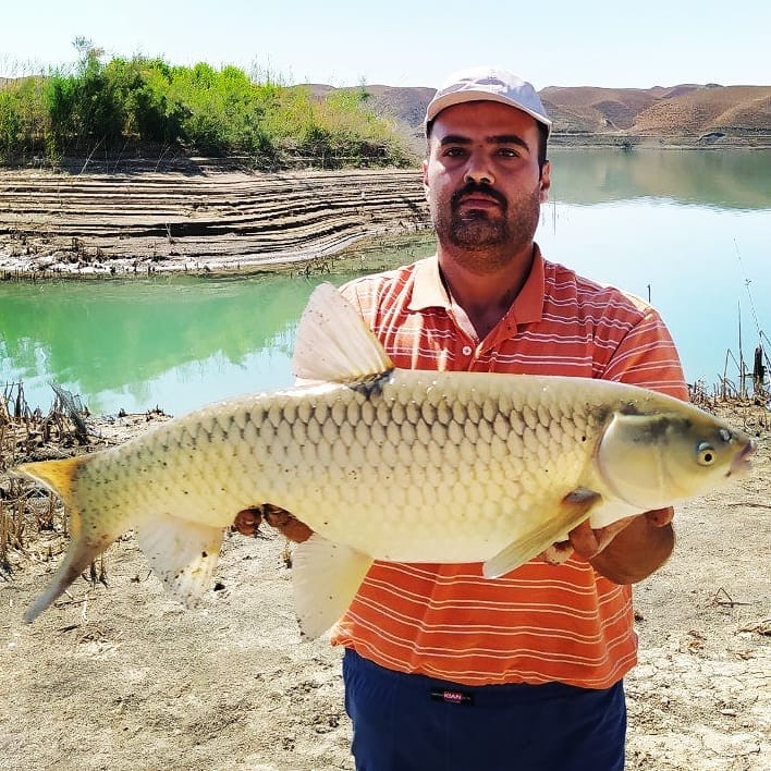 Post 9 by ماهیگیران خراسان on Instagram (carousel)