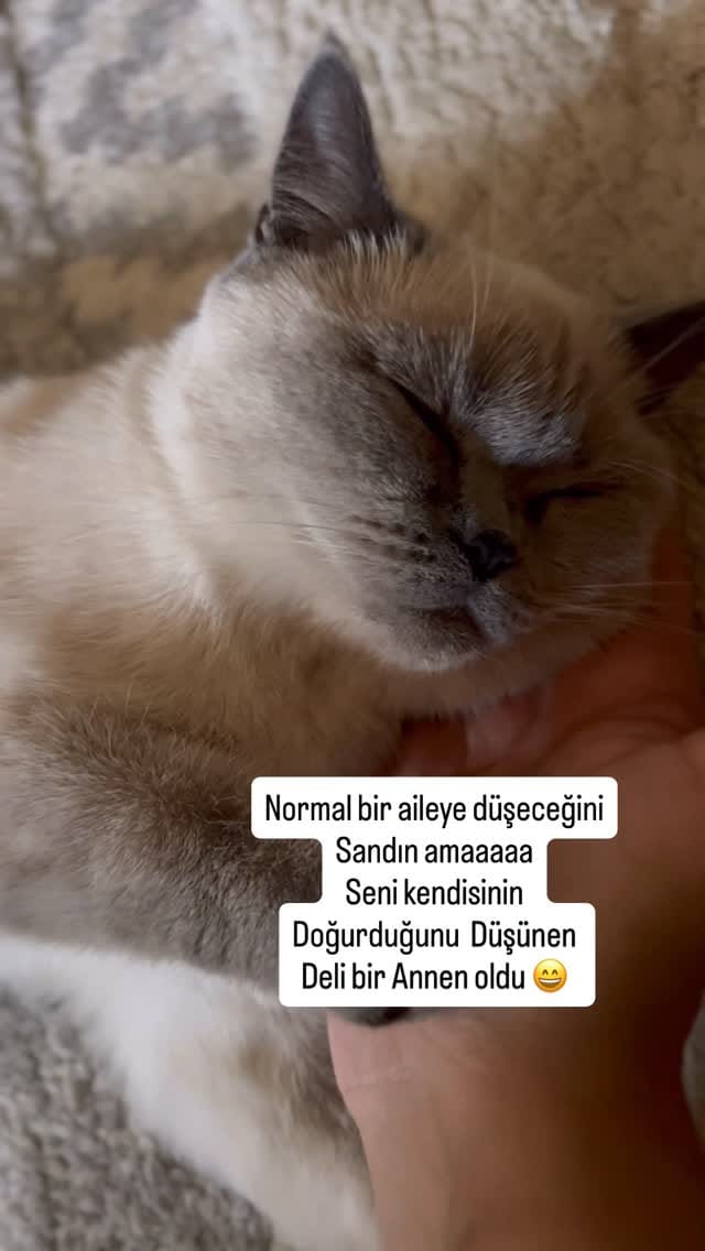 Post 9 by Yeşim'in Dünyası 💕 on Instagram (video)