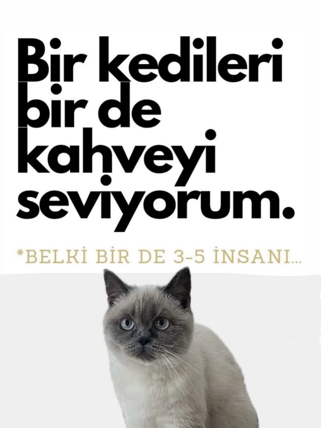 Post 6 by Yeşim'in Dünyası 💕 on Instagram (image)