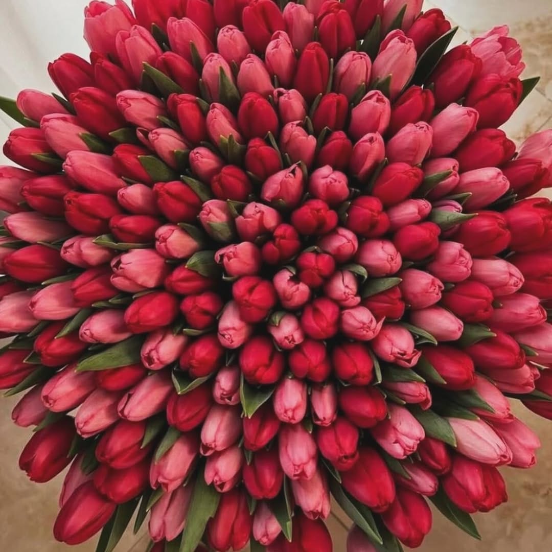 Post 6 by valentina on Instagram (image)