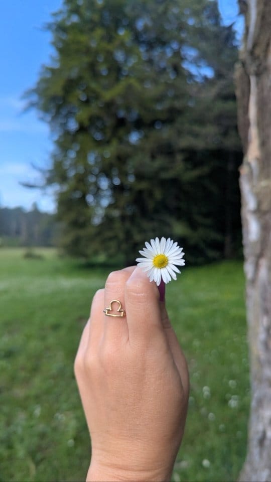 Post 4 by ⚡𝐌𝐉 𝐋𝐚𝐛𝐨𝐫𝐝𝐚⚡ on Instagram (video)