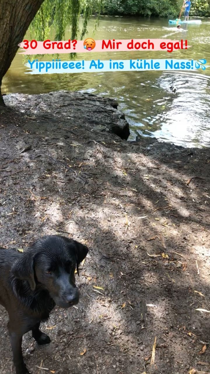 Post 1 by Isabella Köckritz on Instagram (video)