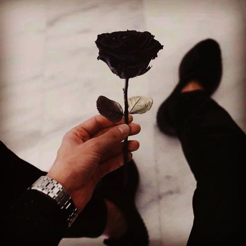 Post 3 by Fadhil Sabri on Instagram (image)