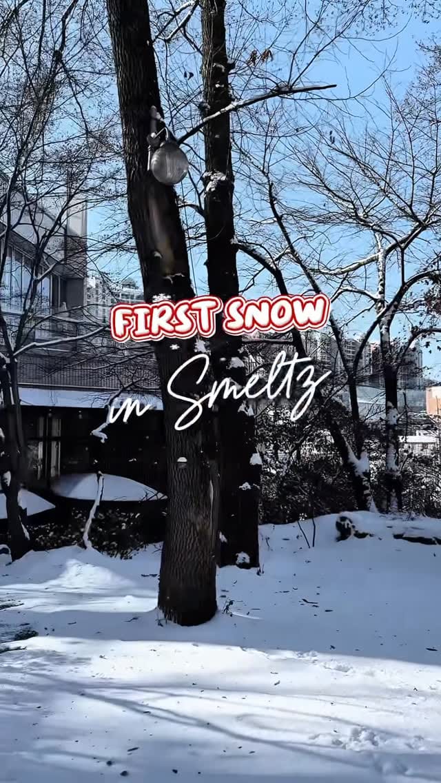 Post 9 by 스멜츠 on Instagram (video)