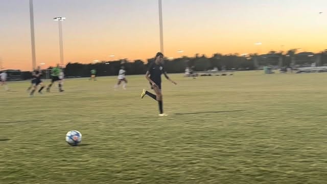 Post 1 by Ace & Skye on Instagram (video)