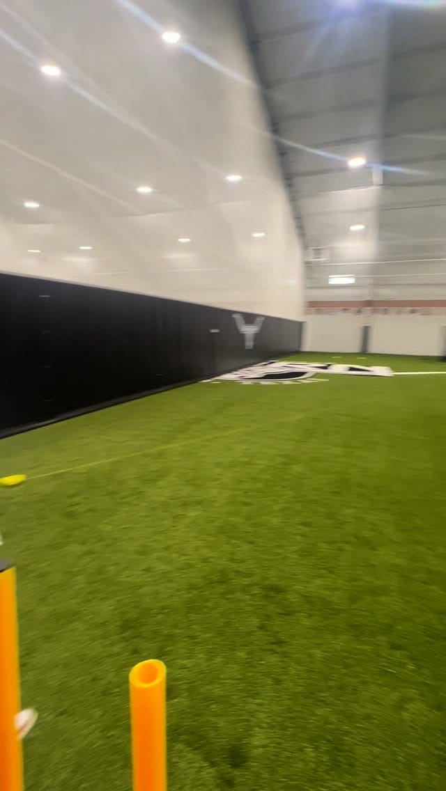 Post 7 by Ace & Skye on Instagram (video)