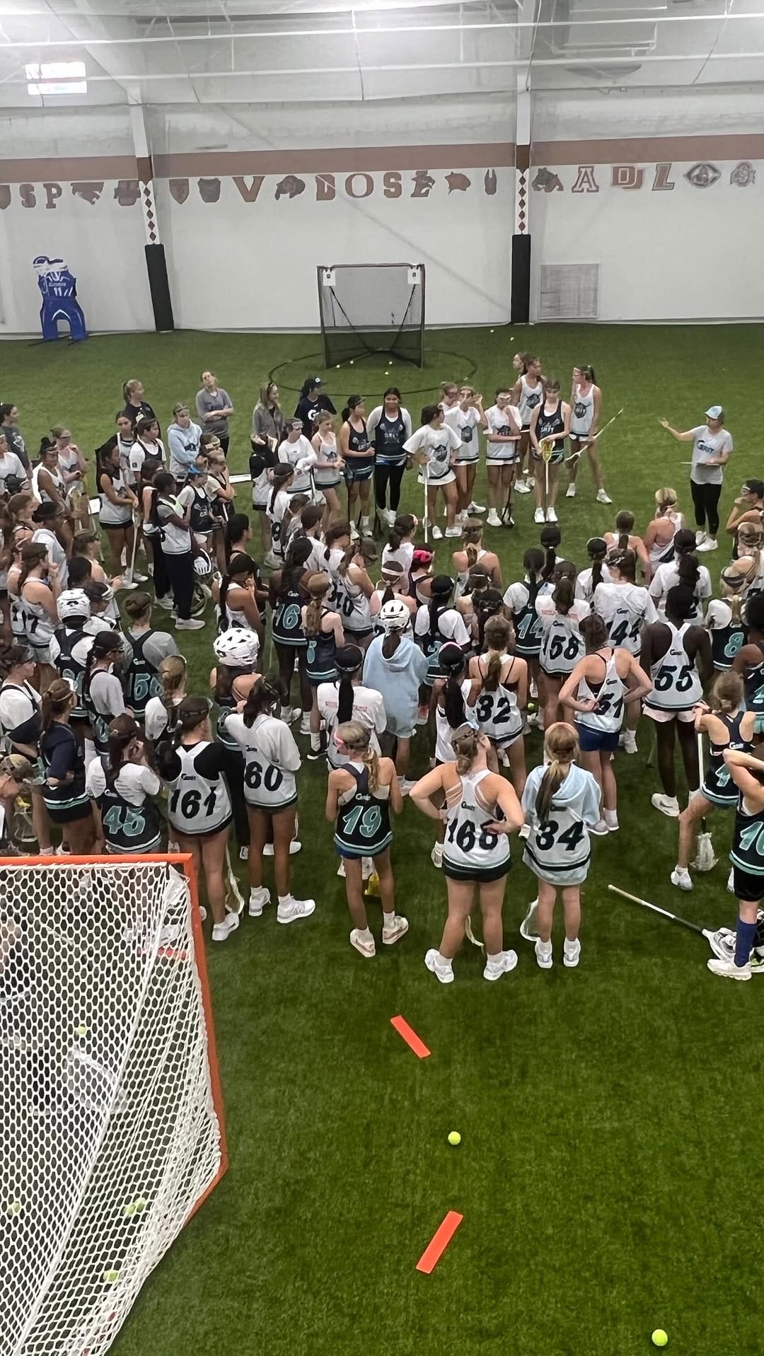 Post 5 by Ace & Skye on Instagram (video)