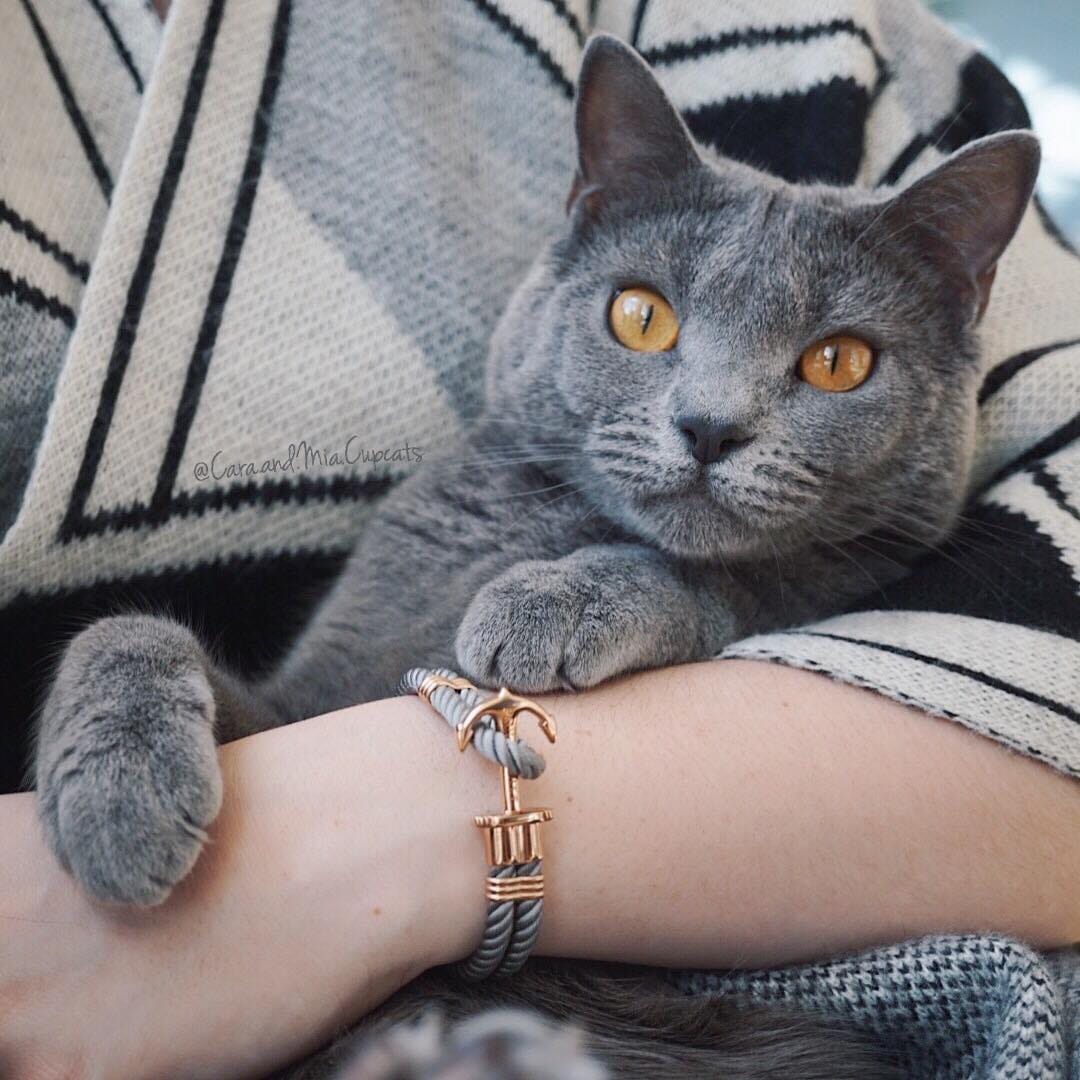 Post 1 by 🌿 Cara & Mia Chartreux Sisters on Instagram (image)