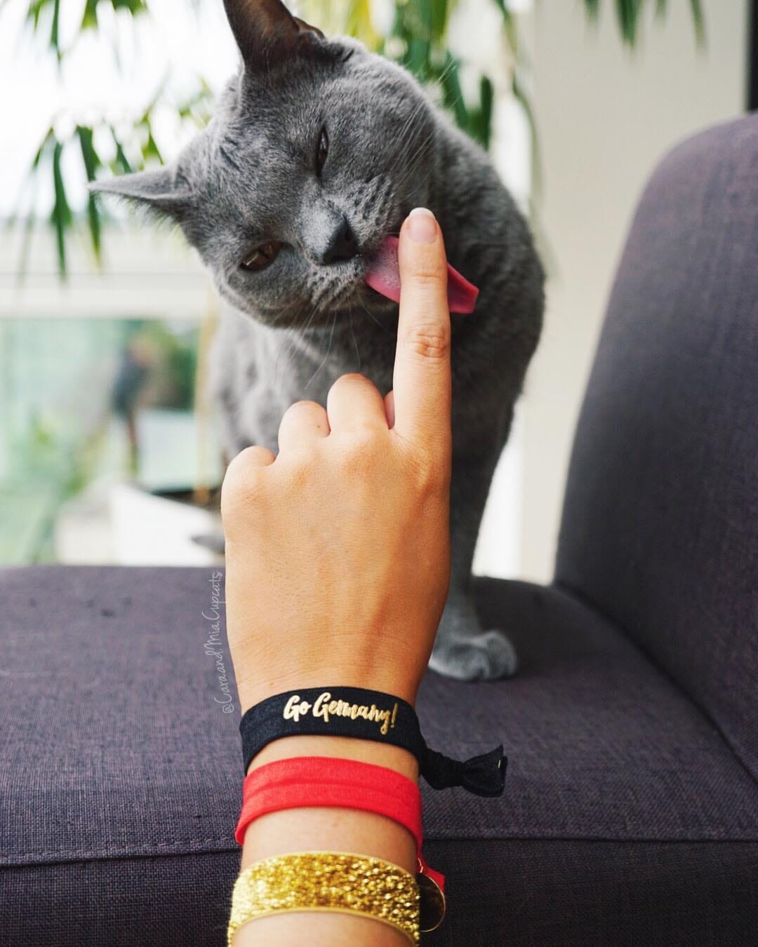 Post 2 by 🌿 Cara & Mia Chartreux Sisters on Instagram (image)