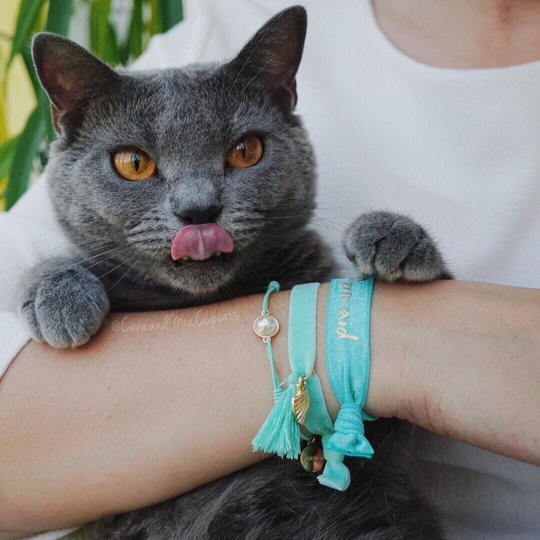 Post 4 by 🌿 Cara & Mia Chartreux Sisters on Instagram (image)