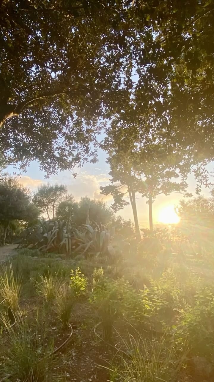 Post 7 by Es Bec d’Aguila Menorca, luxury serviced  villa and retreat on Instagram (video)