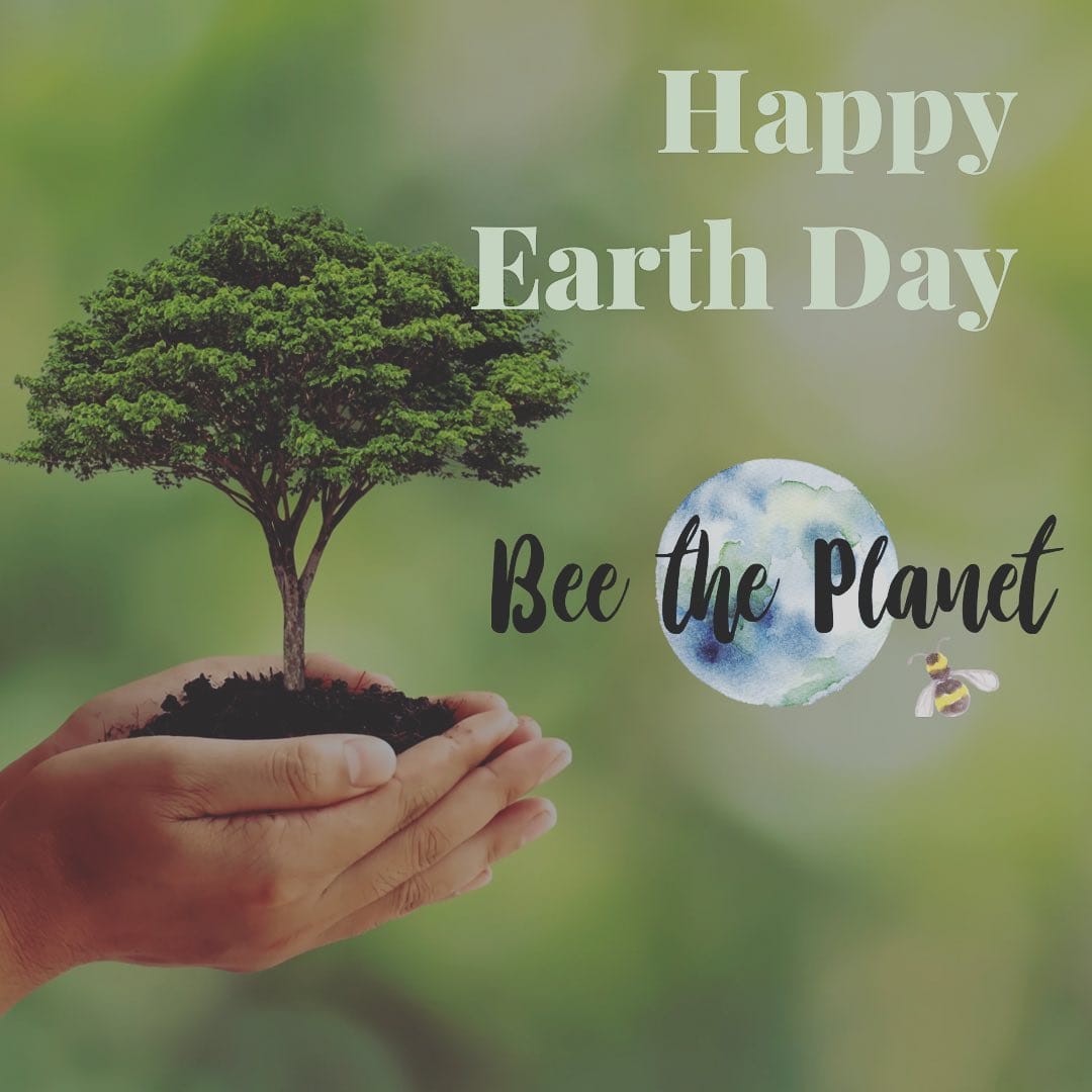 Post 1 by Bee the Planet on Instagram (image)