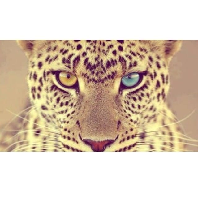 Post 5 by Alexa Ren on Instagram (image)