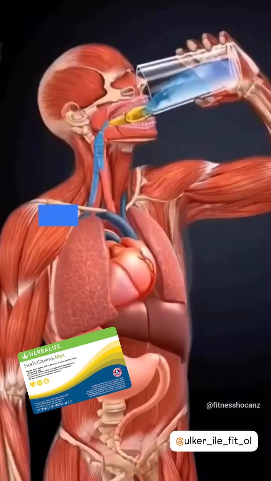 Post 6 by Ülker Tank on Instagram (video)