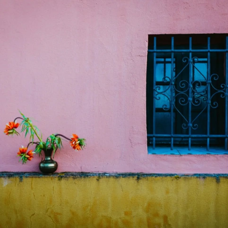 Post 7 by MARALA  I Marta on Instagram (image)