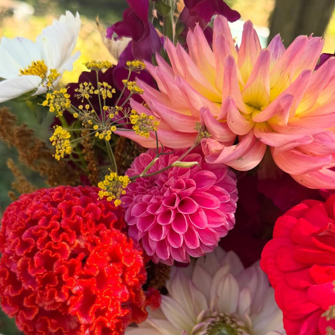 Post 3 by Amber Thomsen on Instagram (image)