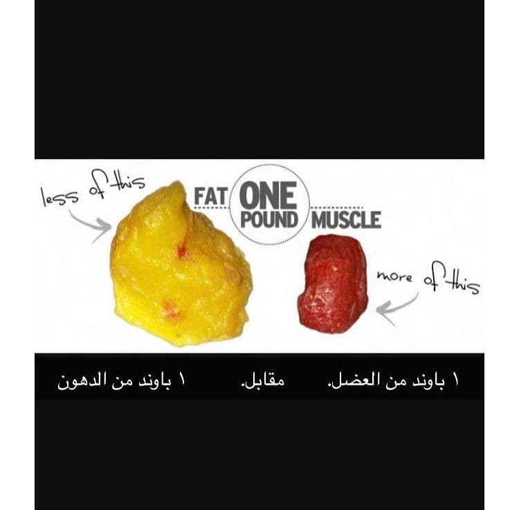 Post 3 by Fitness Motivation on Instagram (image)