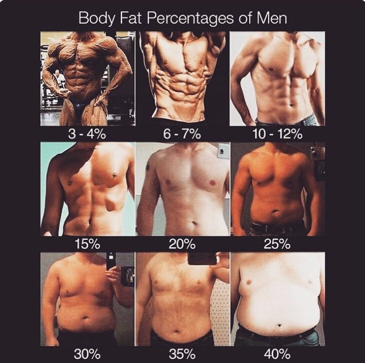 Post 6 by Fitness Motivation on Instagram (image)