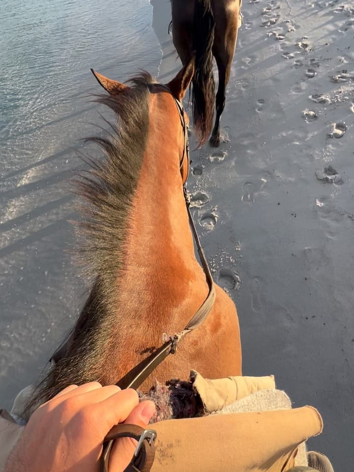 Post 3 by Leonardo Targia on Instagram (carousel)