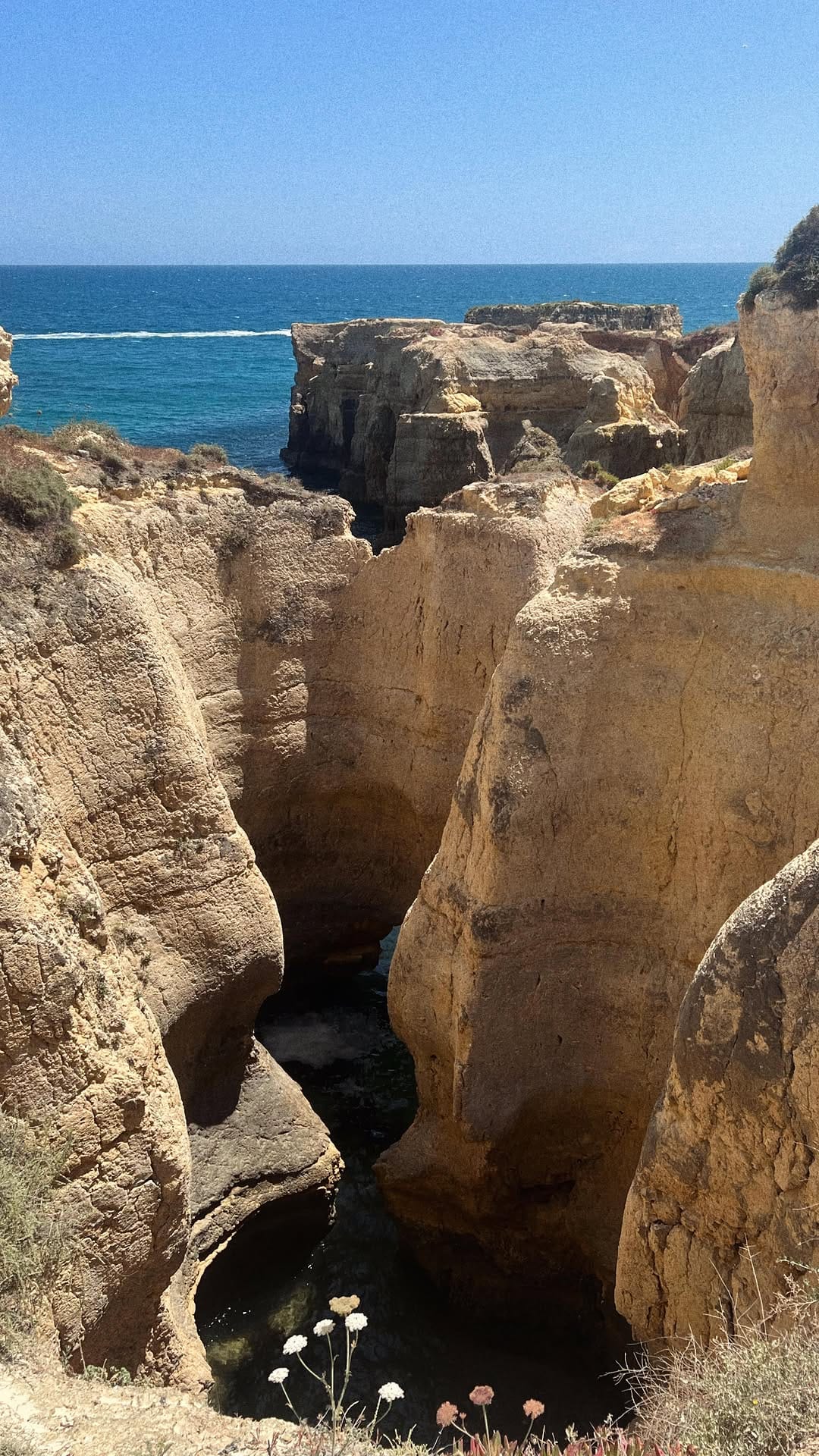 Post 4 by Yves Monteiro De Carvalho on Instagram (video)