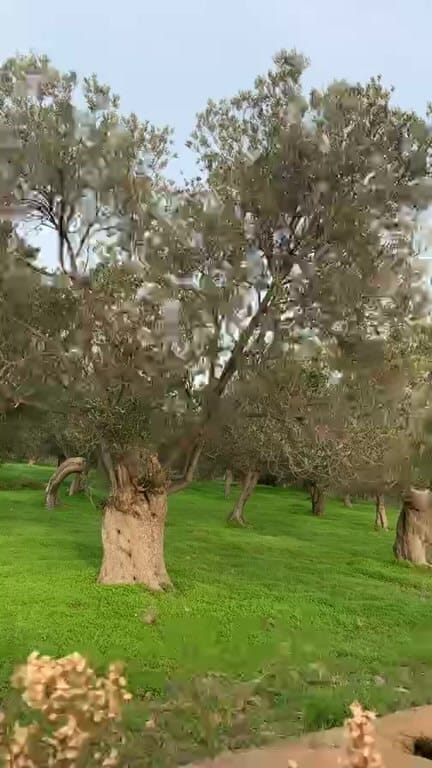 Post 3 by Fatih Pamukçu on Instagram (video)