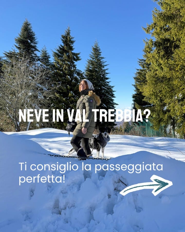 Post 2 by La valle delle Favole - Vivi la Valtrebbia on Instagram (carousel)