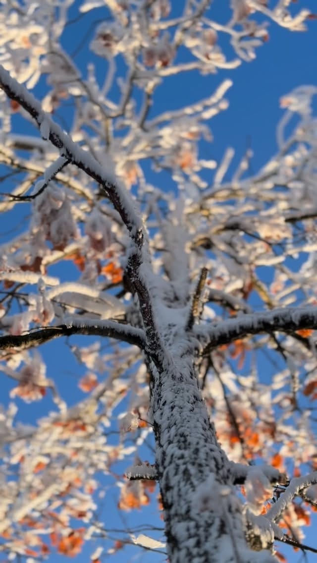 Post 3 by La valle delle Favole - Vivi la Valtrebbia on Instagram (video)