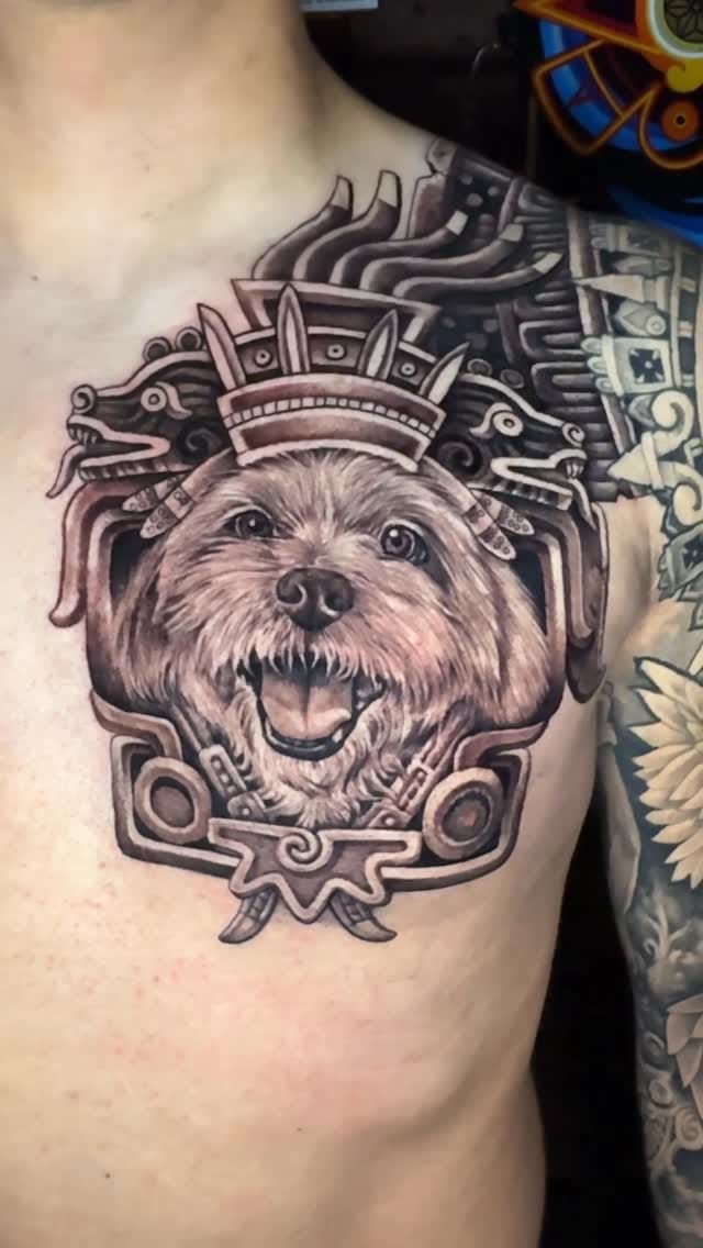 Post 6 by Nelson Acid on Instagram (video)