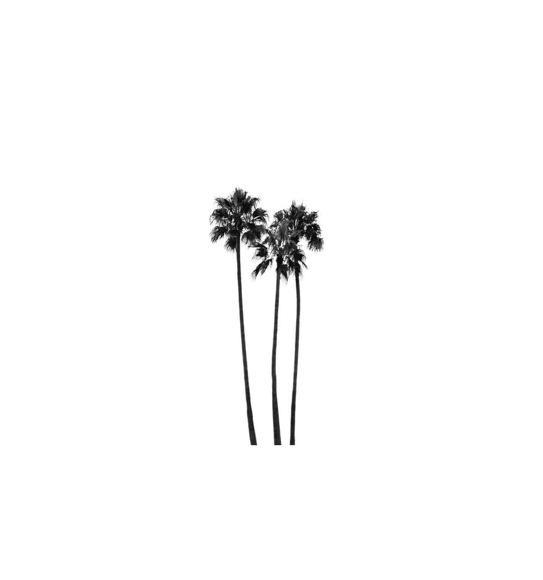 Post 2 by ʟɪɴᴇᴡᴇʀᴋs seoul (라인웍스서울) Downtown Surf Shop in Seoul on Instagram (image)